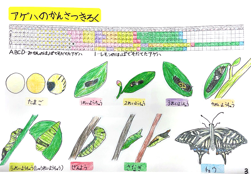 科学部門