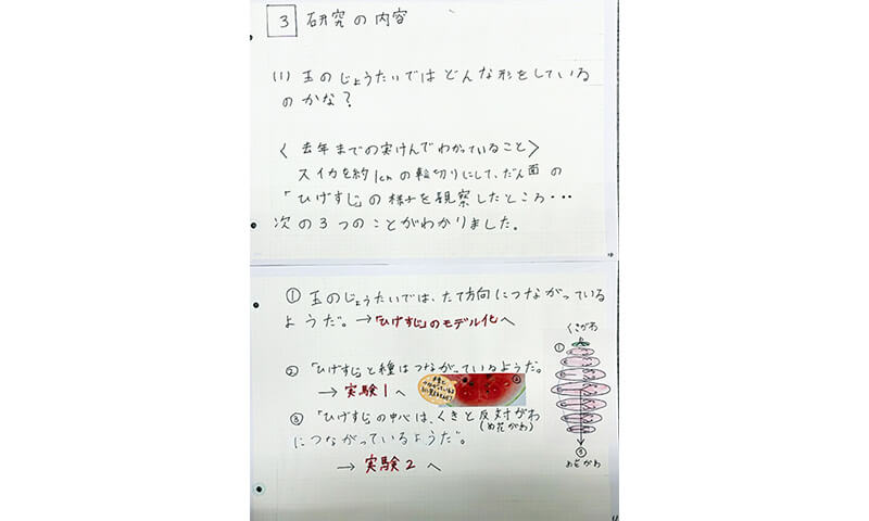 科学部門