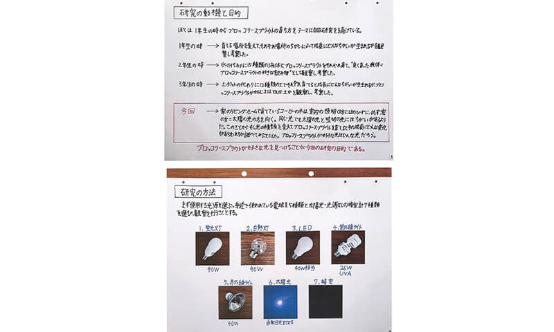 科学部門