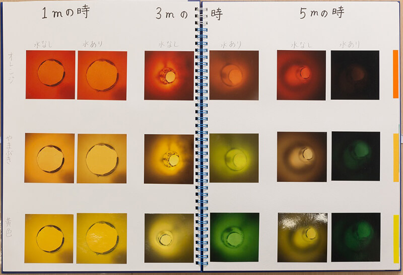 科学部門