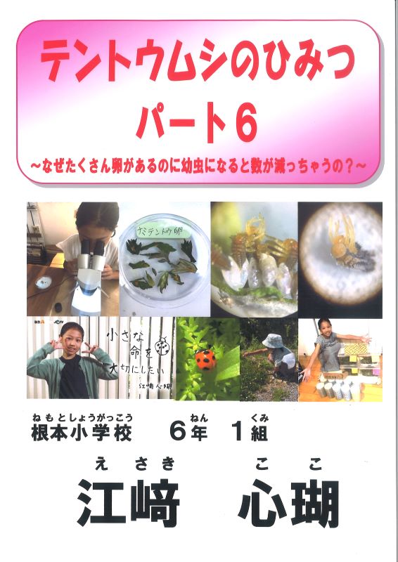 科学部門